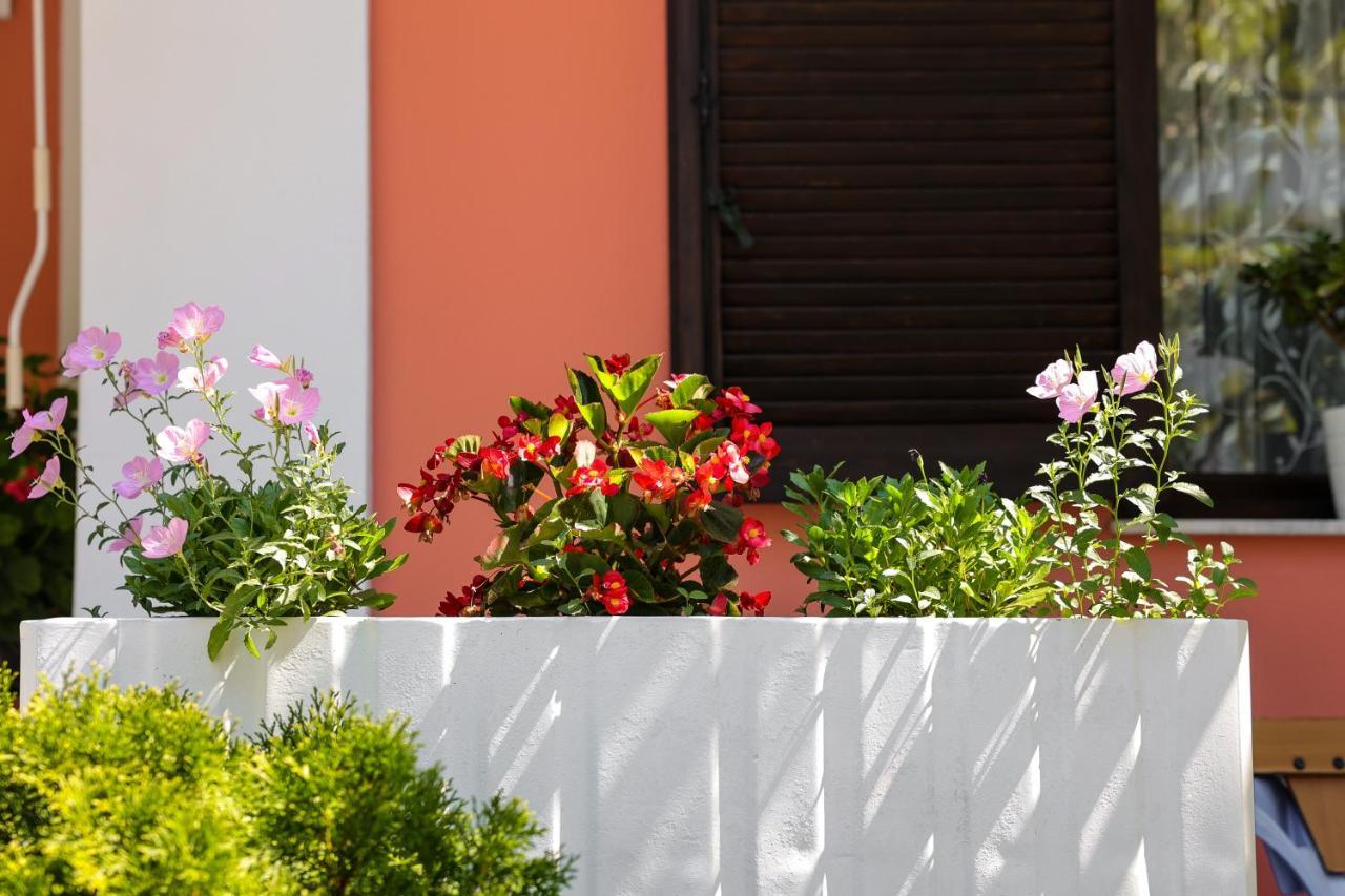 Villa Moras Paralía Buitenkant foto